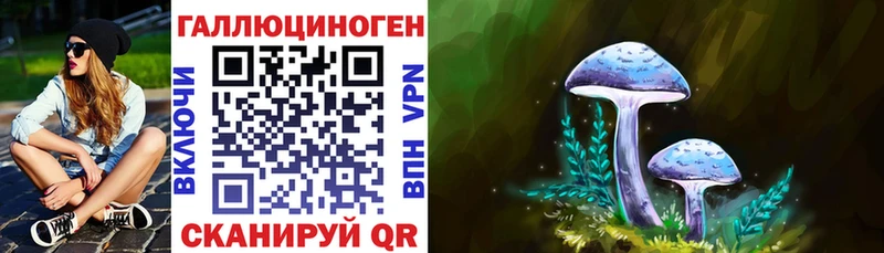 Галлюциногенные грибы MAGIC MUSHROOMS  купить наркоту  Алдан 